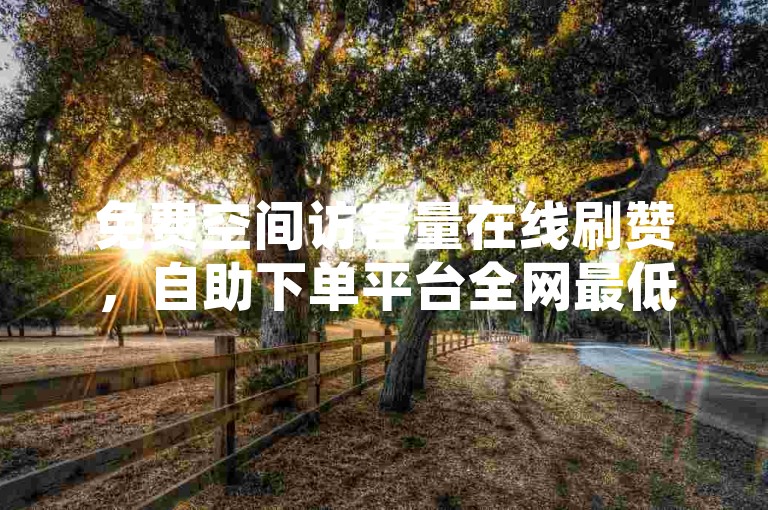 免费空间访客量在线刷赞，自助下单平台全网最低价，一元100赞高效便捷