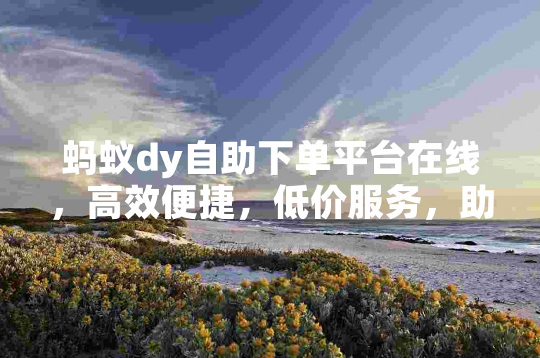 蚂蚁dy自助下单平台在线，高效便捷，低价服务，助力高效交易。