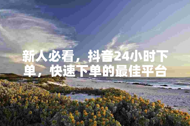 新人必看，抖音24小时下单，快速下单的最佳平台！