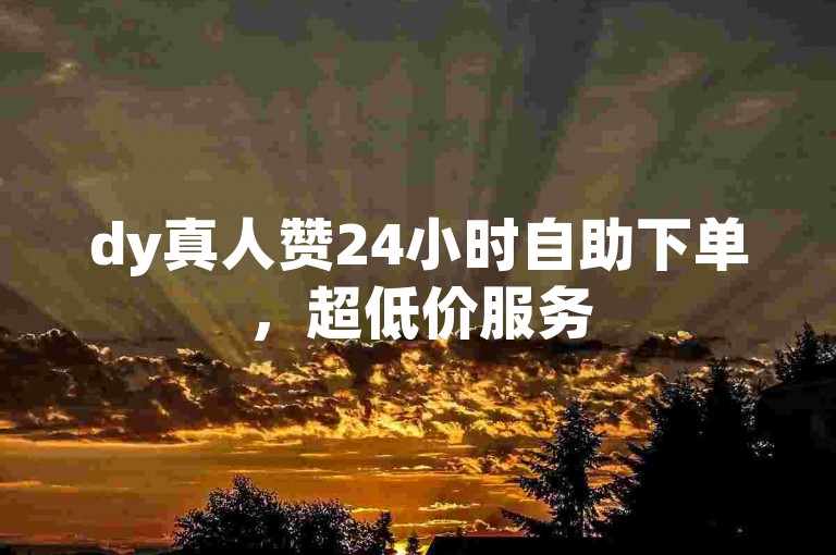 dy真人赞24小时自助下单，超低价服务