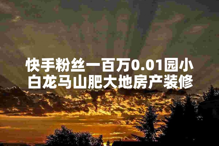 快手粉丝一百万0.01园小白龙马山肥大地房产装修网站