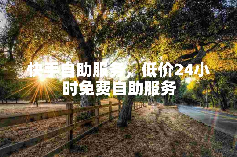 快手自助服务，低价24小时免费自助服务
