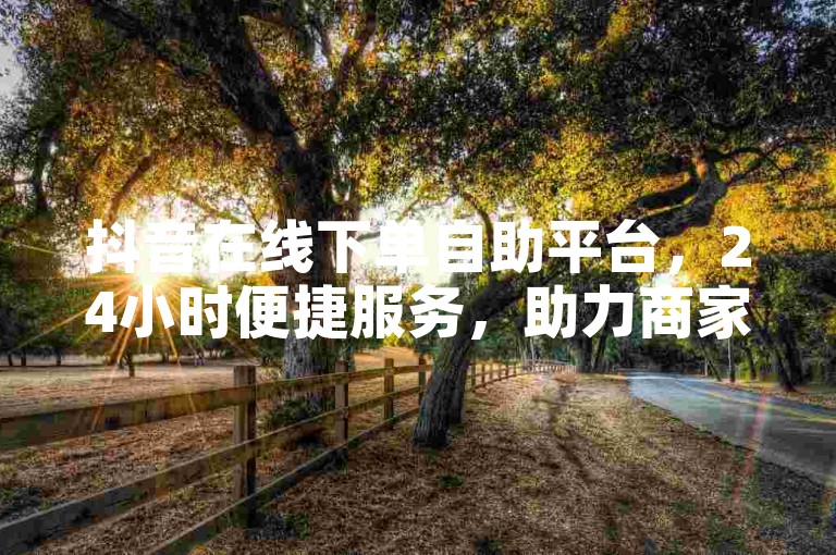 抖音在线下单自助平台，24小时便捷服务，助力商家高效运营
