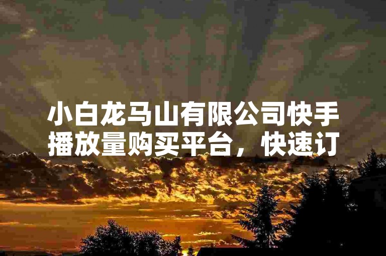 小白龙马山有限公司快手播放量购买平台，快速订阅免费或低价。