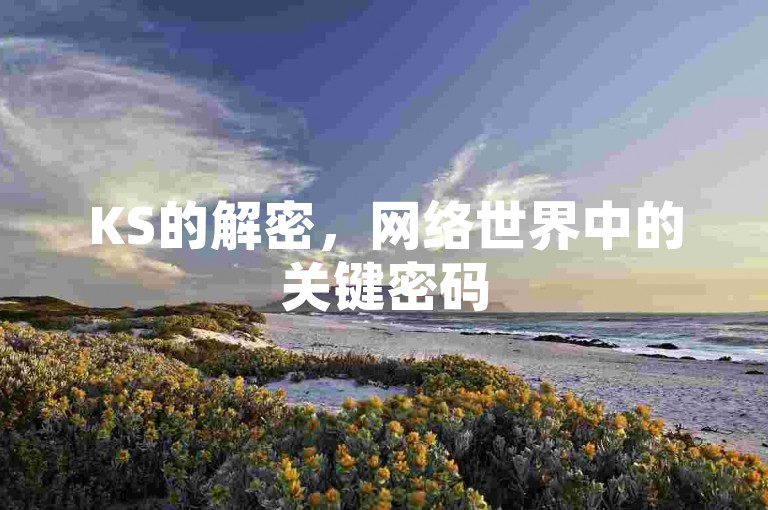 KS的解密，网络世界中的关键密码