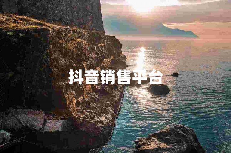 抖音销售平台