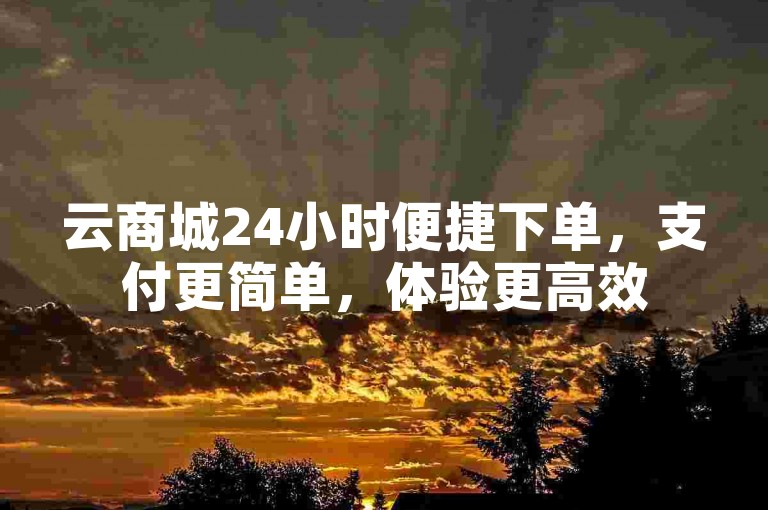 云商城24小时便捷下单，支付更简单，体验更高效
