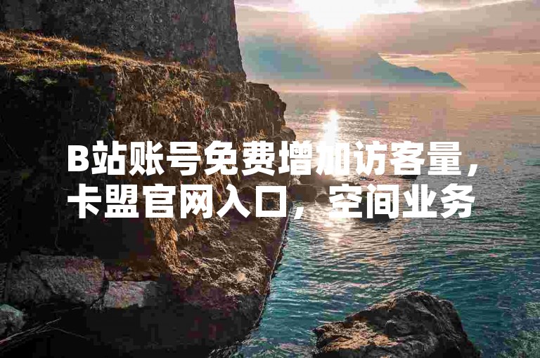 B站账号免费增加访客量，卡盟官网入口，空间业务下单24小时，1000粉丝购买
