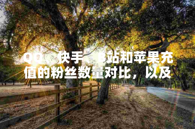 QQ、快手、B站和苹果充值的粉丝数量对比，以及各自的服务内容。