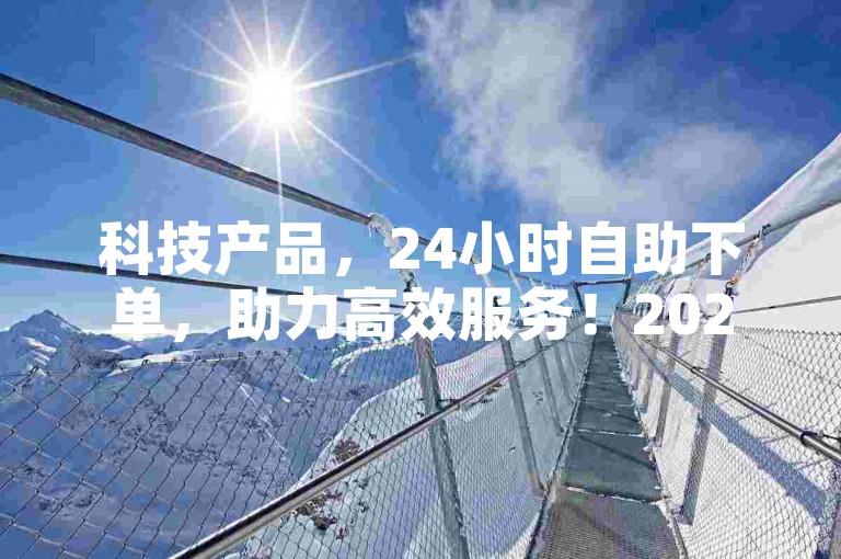 科技产品，24小时自助下单，助力高效服务！2024必学