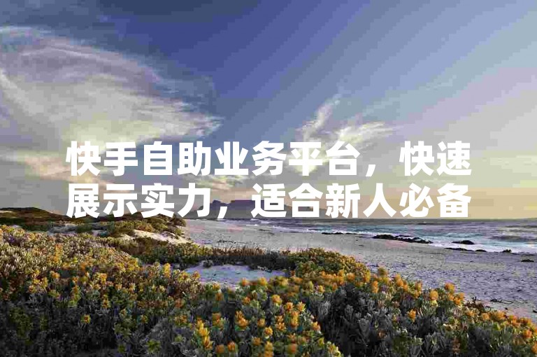 快手自助业务平台，快速展示实力，适合新人必备！