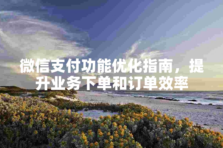 微信支付功能优化指南，提升业务下单和订单效率