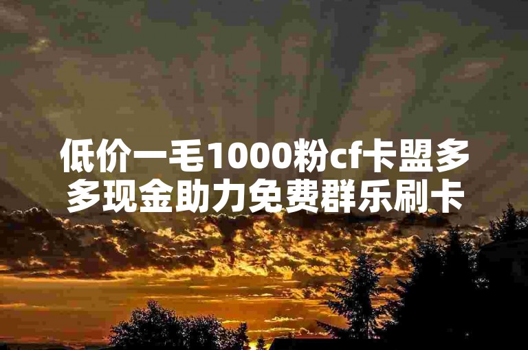 低价一毛1000粉cf卡盟多多现金助力免费群乐刷卡盟官网
