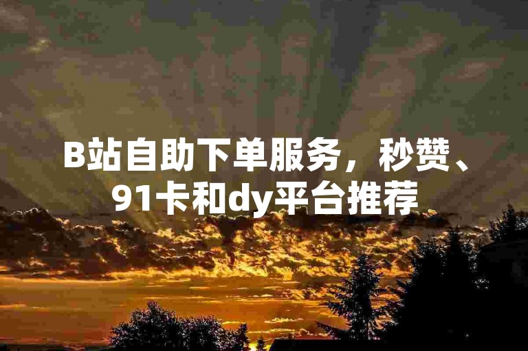 B站自助下单服务，秒赞、91卡和dy平台推荐