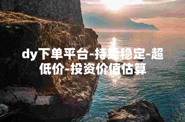 dy下单平台-持续稳定-超低价-投资价值估算