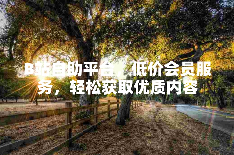 B站自助平台，低价会员服务，轻松获取优质内容