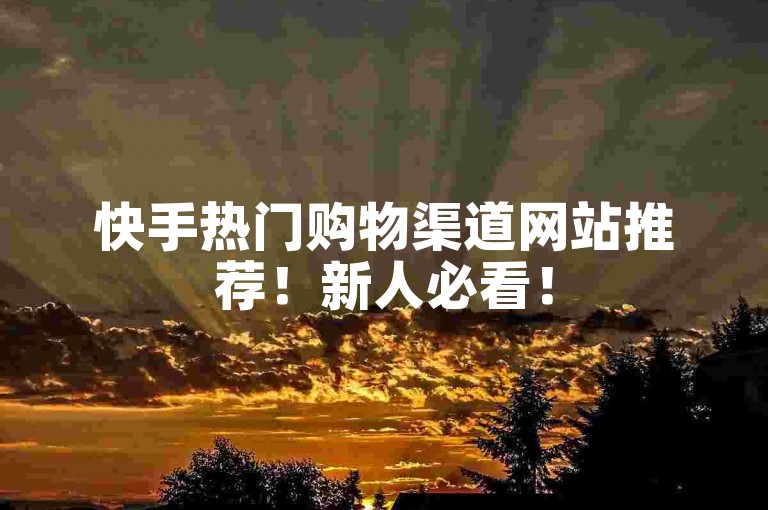 快手热门购物渠道网站推荐！新人必看！
