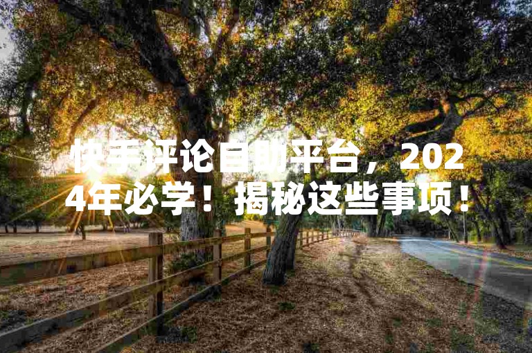 快手评论自助平台，2024年必学！揭秘这些事项！