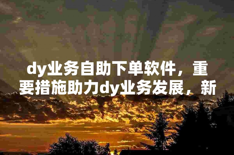 dy业务自助下单软件，重要措施助力dy业务发展，新人必备！