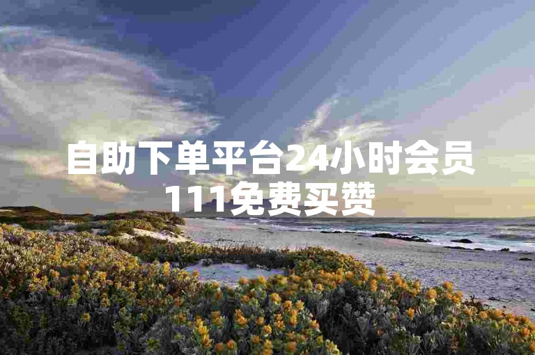 自助下单平台24小时会员111免费买赞