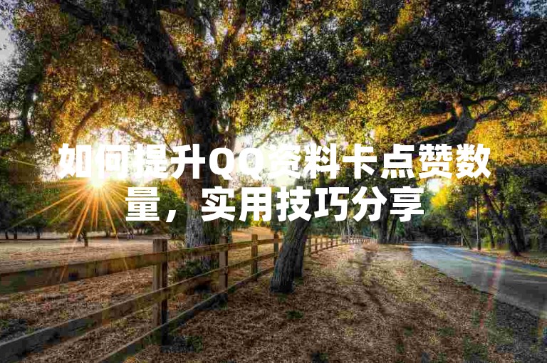 如何提升QQ资料卡点赞数量，实用技巧分享