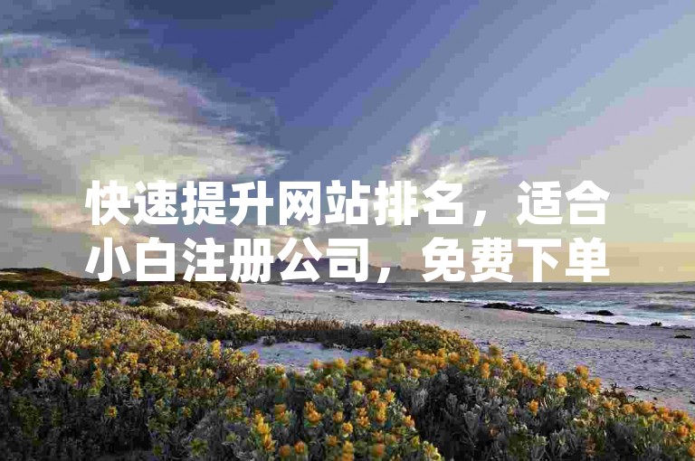 快速提升网站排名，适合小白注册公司，免费下单平台，K S业务，qq辅助注册接单平台