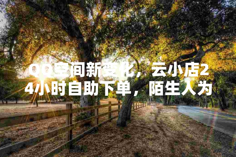 QQ空间新变化，云小店24小时自助下单，陌生人为好友微利也疯狂！