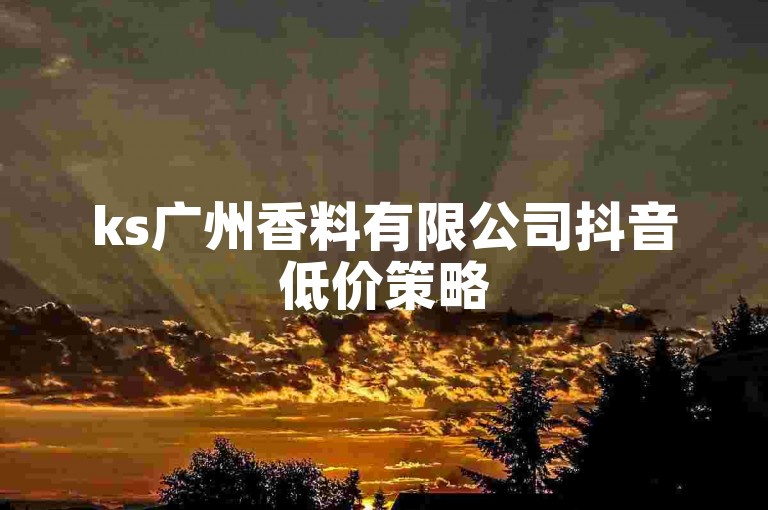 ks广州香料有限公司抖音低价策略
