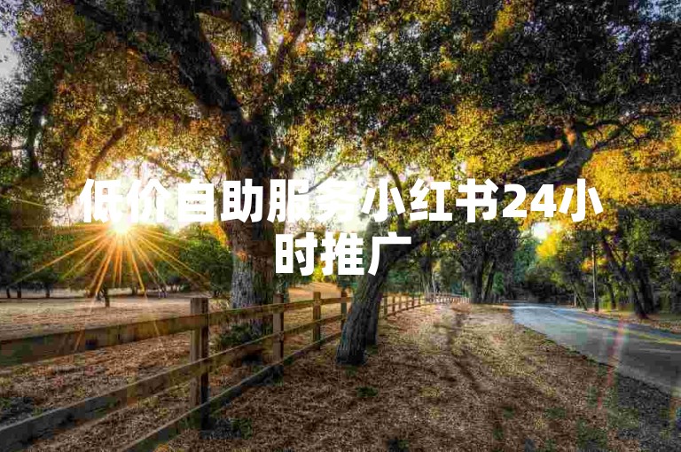 低价自助服务小红书24小时推广