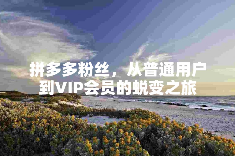 拼多多粉丝，从普通用户到VIP会员的蜕变之旅
