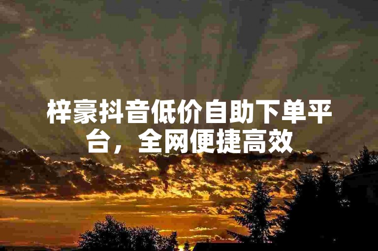梓豪抖音低价自助下单平台，全网便捷高效
