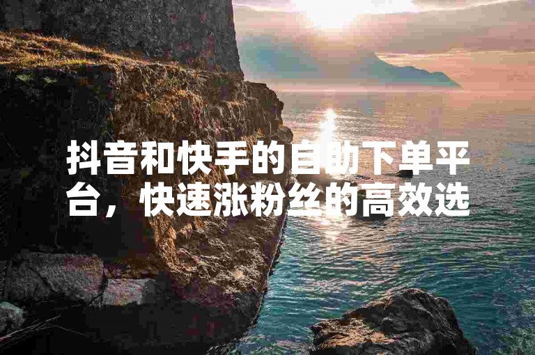 抖音和快手的自助下单平台，快速涨粉丝的高效选择