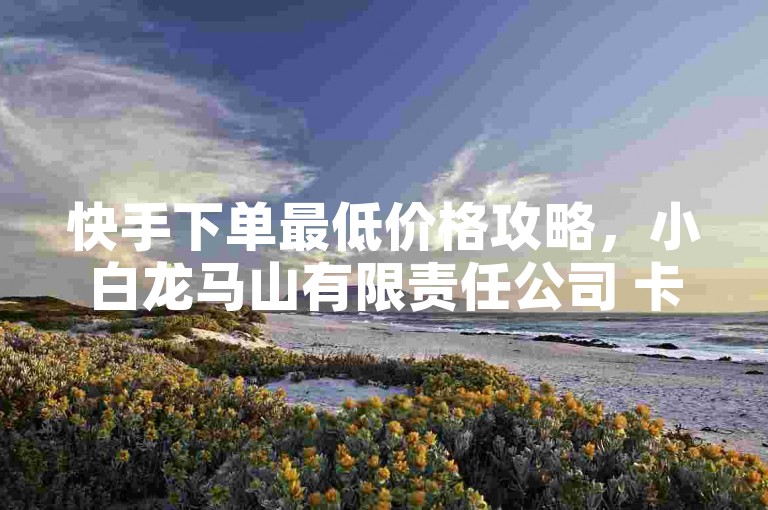 快手下单最低价格攻略，小白龙马山有限责任公司 卡盟网