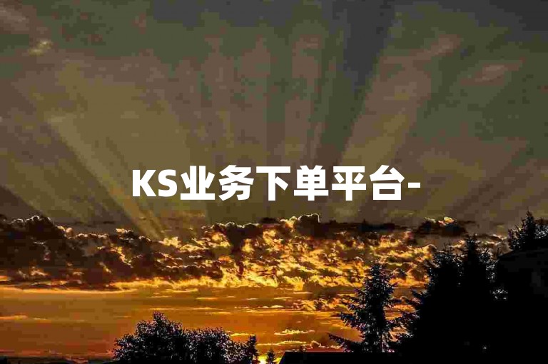 KS业务下单平台-