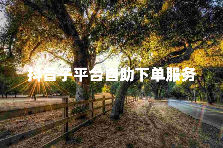 抖音子平台自助下单服务