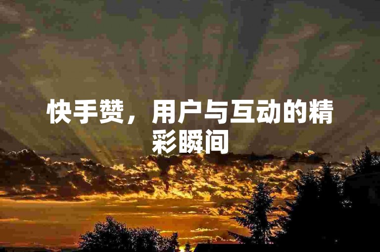 快手赞，用户与互动的精彩瞬间