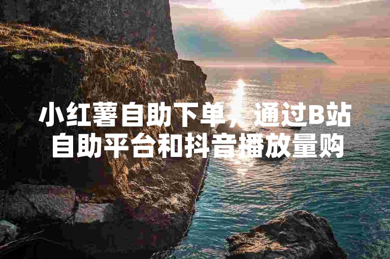 小红薯自助下单，通过B站自助平台和抖音播放量购买