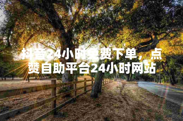 抖音24小时免费下单，点赞自助平台24小时网站