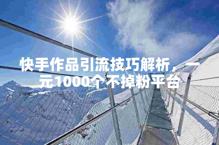 快手作品引流技巧解析，一元1000个不掉粉平台