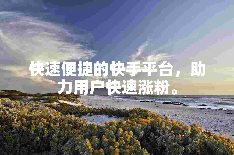 快速便捷的快手平台，助力用户快速涨粉。
