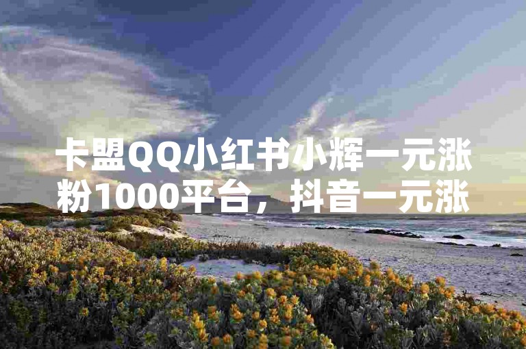 卡盟QQ小红书小辉一元涨粉1000平台，抖音一元涨粉1000平台推荐