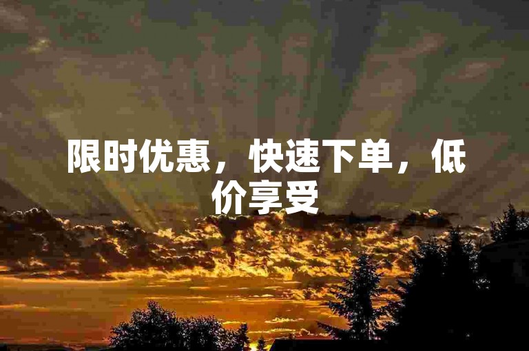 限时优惠，快速下单，低价享受