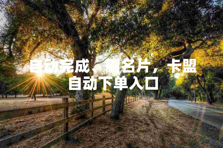 自动完成、刷名片，卡盟自动下单入口