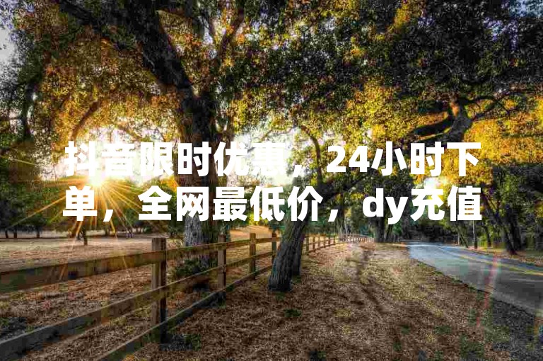 抖音限时优惠，24小时下单，全网最低价，dy充值，卡盟下单