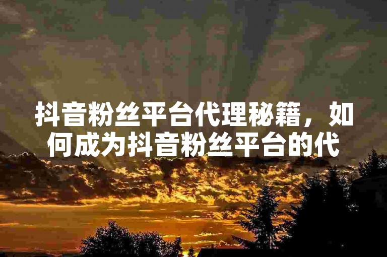 抖音粉丝平台代理秘籍，如何成为抖音粉丝平台的代理，方法解析与2025必学！
