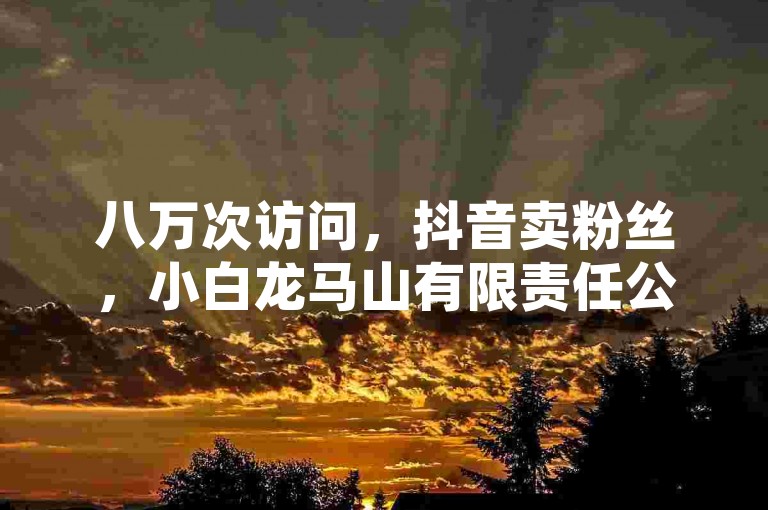 八万次访问，抖音卖粉丝，小白龙马山有限责任公司必学内容
