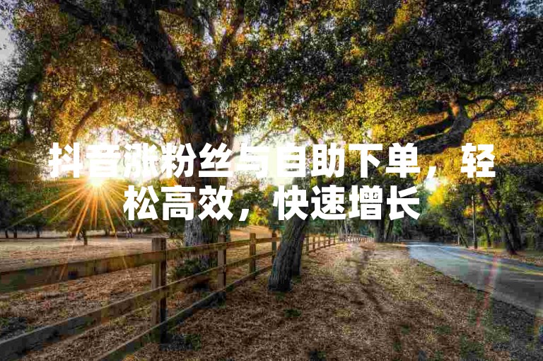 抖音涨粉丝与自助下单，轻松高效，快速增长
