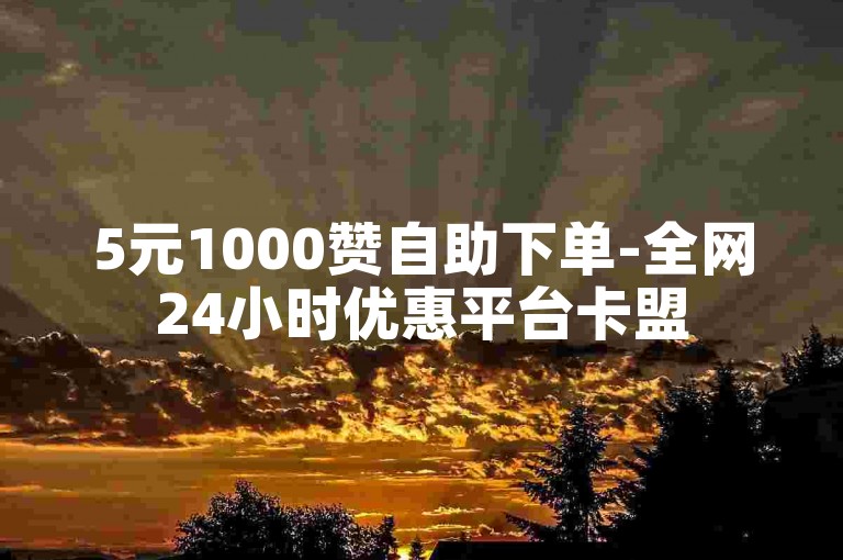 5元1000赞自助下单-全网24小时优惠平台卡盟