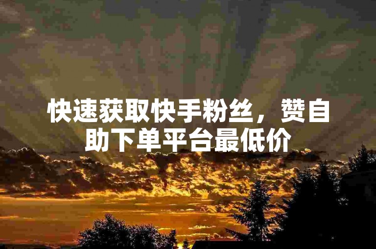快速获取快手粉丝，赞自助下单平台最低价