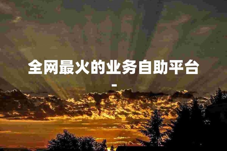 全网最火的业务自助平台-